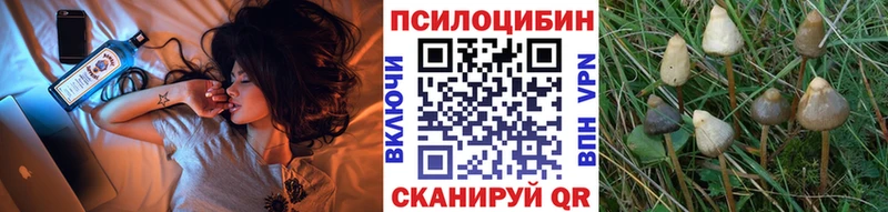 Галлюциногенные грибы прущие грибы наркотики Лабытнанги